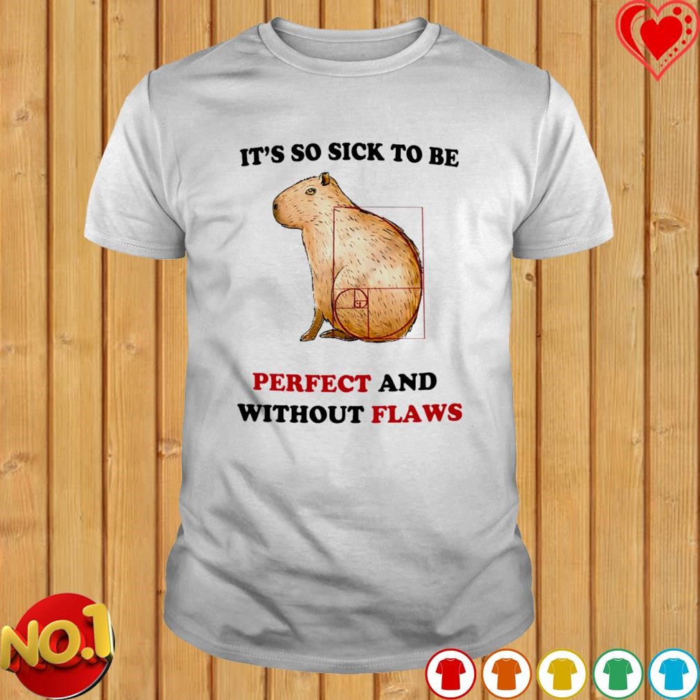 It's so sick to be perfect and without flaws T-shirt